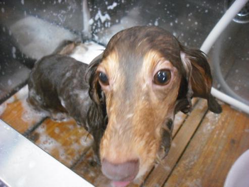 ファイル 1495-3.jpg