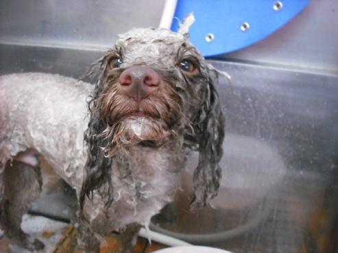 ファイル 1496-3.jpg