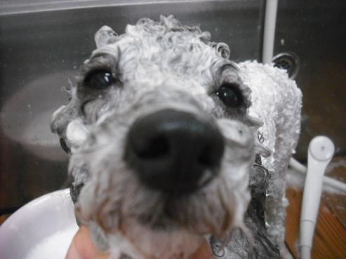 ファイル 1497-3.jpg