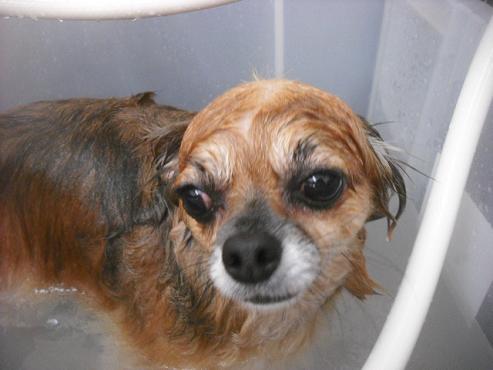 ファイル 1498-3.jpg