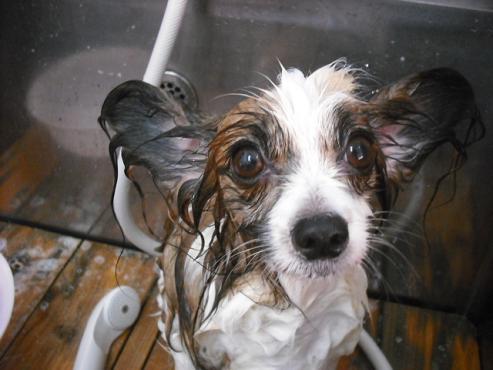 ファイル 1499-2.jpg