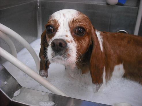 ファイル 150-2.jpg