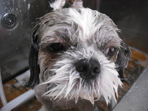 ファイル 1500-3.jpg