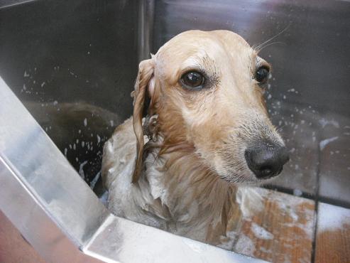 ファイル 1501-2.jpg