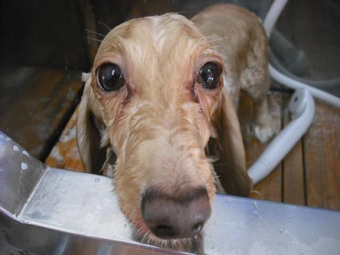 ファイル 1502-2.jpg