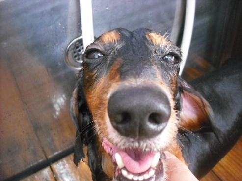 ファイル 1505-3.jpg