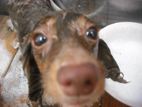 ファイル 1506-3.jpg