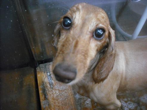 ファイル 1509-3.jpg