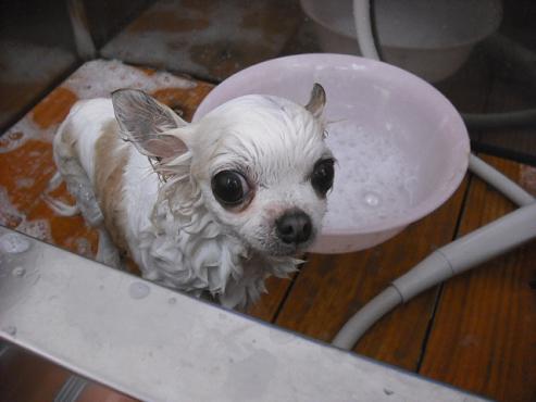 ファイル 151-2.jpg