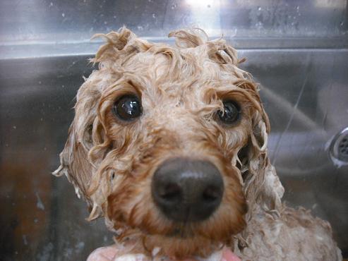 ファイル 1511-3.jpg