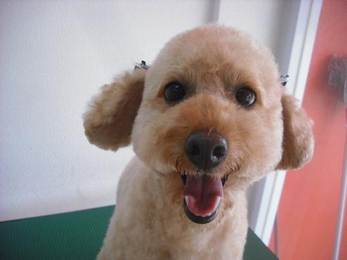 ファイル 1512-1.jpg