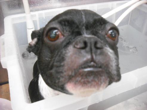 ファイル 1514-3.jpg