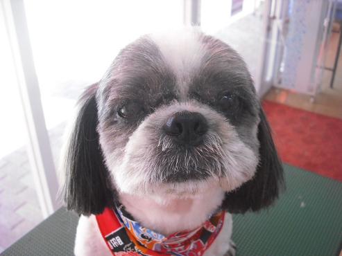 ファイル 1519-1.jpg