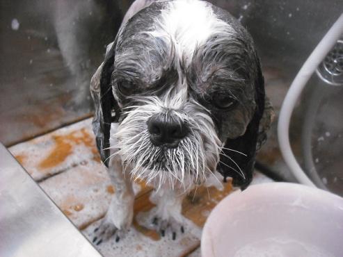 ファイル 1519-3.jpg