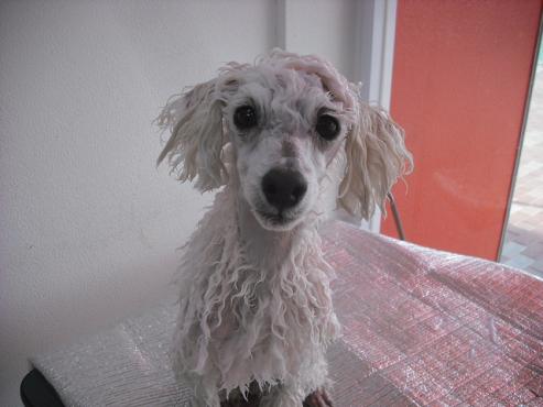 ファイル 152-2.jpg