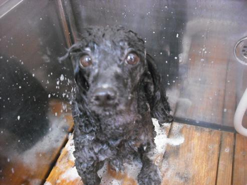 ファイル 1521-2.jpg