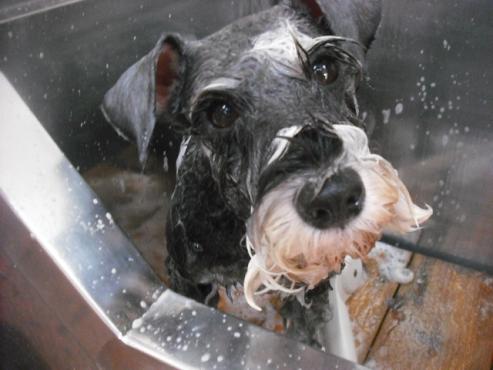 ファイル 1522-2.jpg