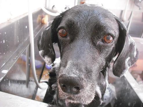 ファイル 1523-2.jpg