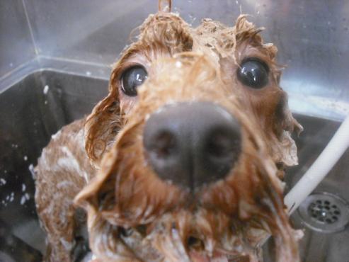 ファイル 1524-2.jpg