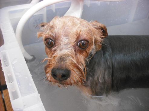 ファイル 1529-2.jpg