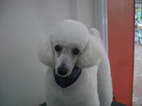 ファイル 153-1.jpg