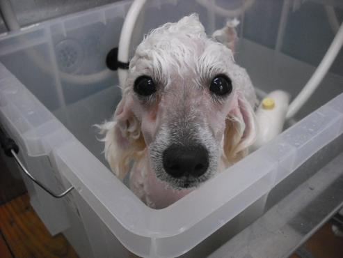 ファイル 153-3.jpg