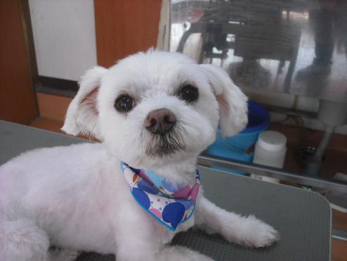 ファイル 1530-1.jpg