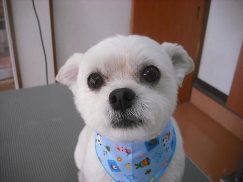 ファイル 1532-1.jpg