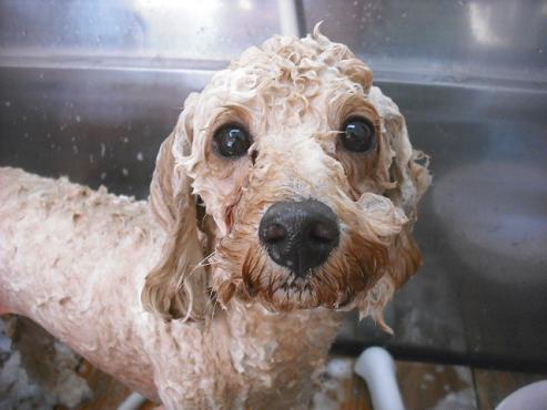 ファイル 1533-2.jpg