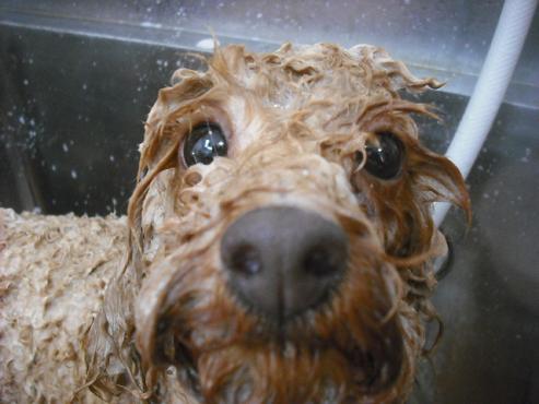 ファイル 1534-2.jpg