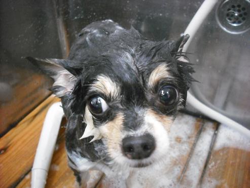 ファイル 1535-2.jpg