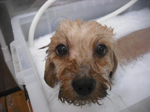 ファイル 1536-2.jpg