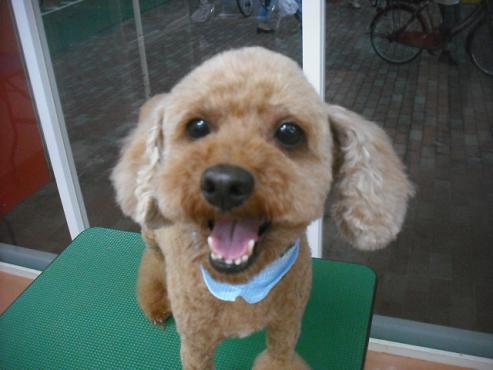 ファイル 1537-1.jpg