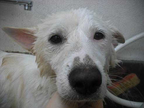 ファイル 1538-2.jpg