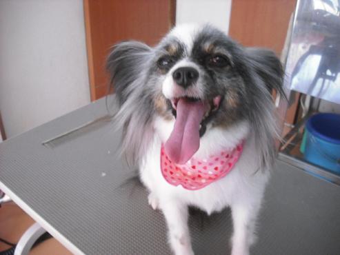 ファイル 1539-1.jpg