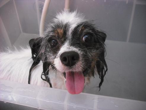 ファイル 1539-2.jpg