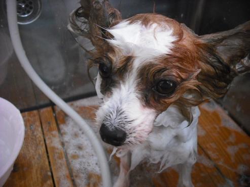 ファイル 154-2.jpg