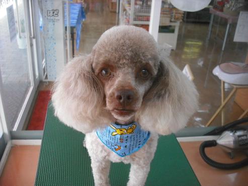 ファイル 1540-1.jpg