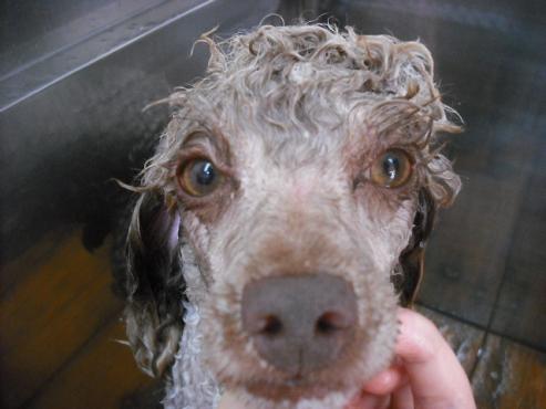 ファイル 1540-2.jpg