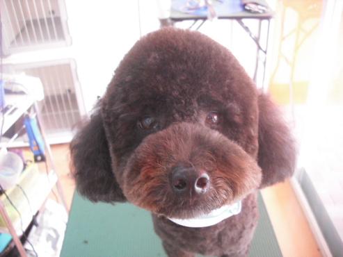 ファイル 1541-1.jpg