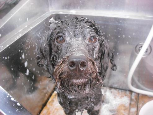 ファイル 1541-2.jpg