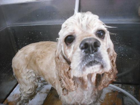 ファイル 1542-2.jpg