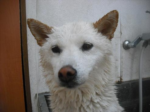 ファイル 1543-2.jpg