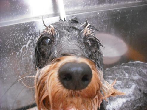 ファイル 1544-2.jpg