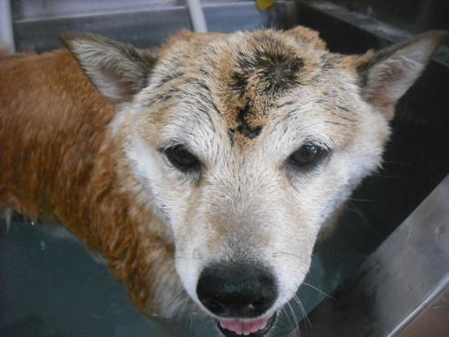 ファイル 1548-2.jpg