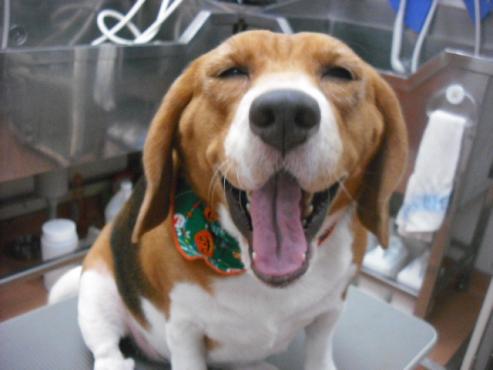 ファイル 1549-1.jpg