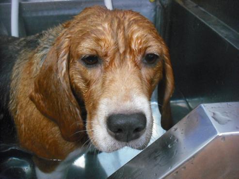 ファイル 1549-2.jpg