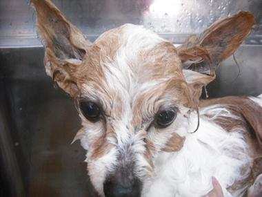 ファイル 155-2.jpg