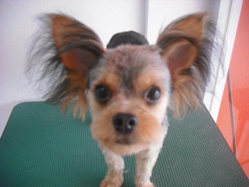 ファイル 1550-1.jpg