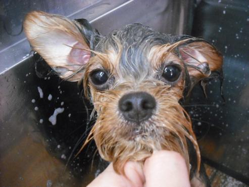 ファイル 1550-2.jpg